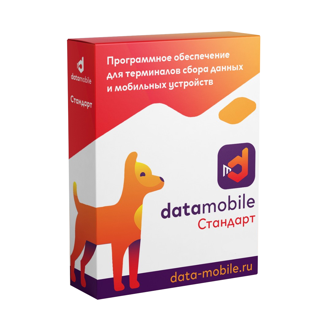 ПО DataMobile, версия Стандарт LifeTime (45873) (S0012613)