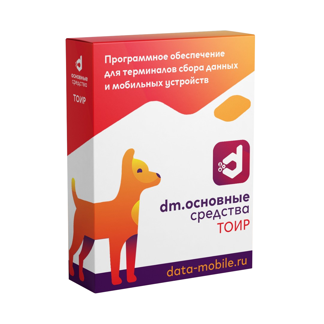 ПО DataMobile, Основные средства: ТОИР - LifeTime (DMTOIR)