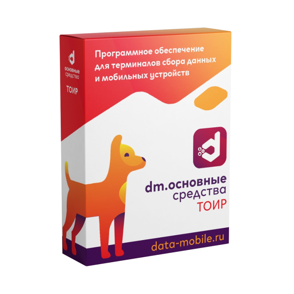 ПО DataMobile, Основные средства: ТОИР - LifeTime (DMTOIR)