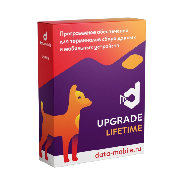 ПО DataMobile, Upgrade 2.9 -> 3.0 Стандарт